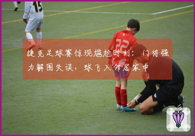 捷克足球赛惊现尴尬时刻：门将强力解围失误，球飞入邻居家中