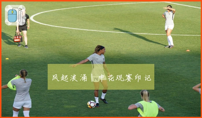 风起浪涌丨申花观赛印记